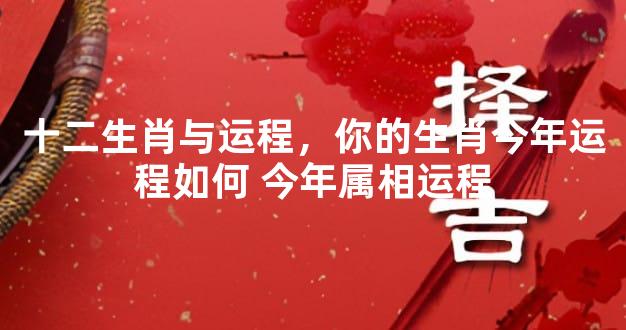 十二生肖与运程，你的生肖今年运程如何 今年属相运程